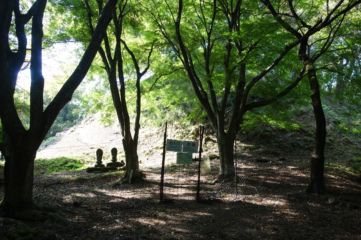 f:id:sogensyooku:20211105212013j:plain