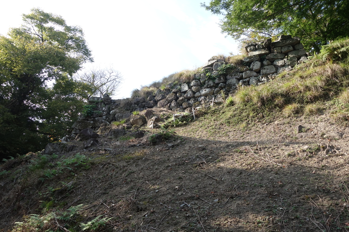 f:id:sogensyooku:20211105212539j:plain