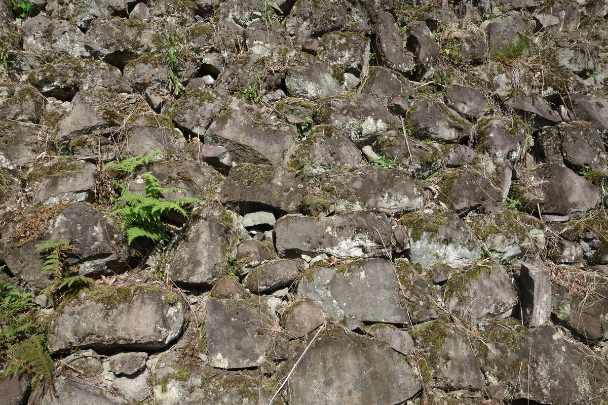 f:id:sogensyooku:20211105213406j:plain