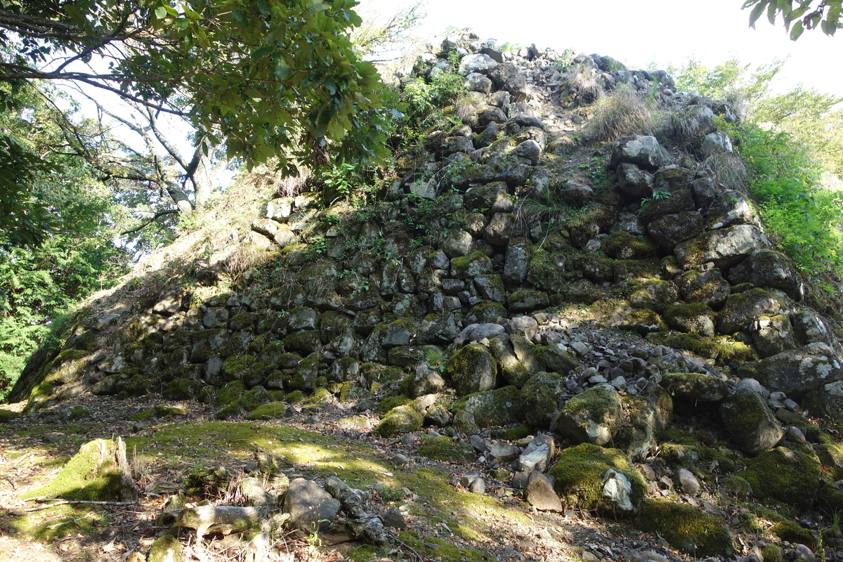 f:id:sogensyooku:20211105214015j:plain