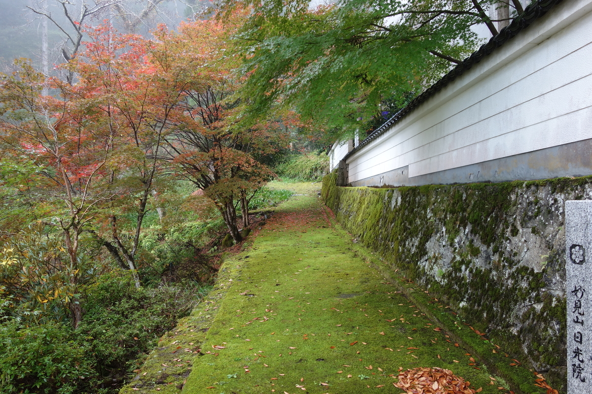 f:id:sogensyooku:20211120163122j:plain