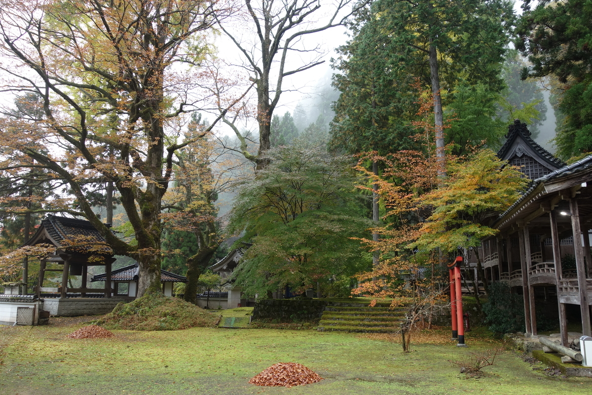 f:id:sogensyooku:20211120163806j:plain