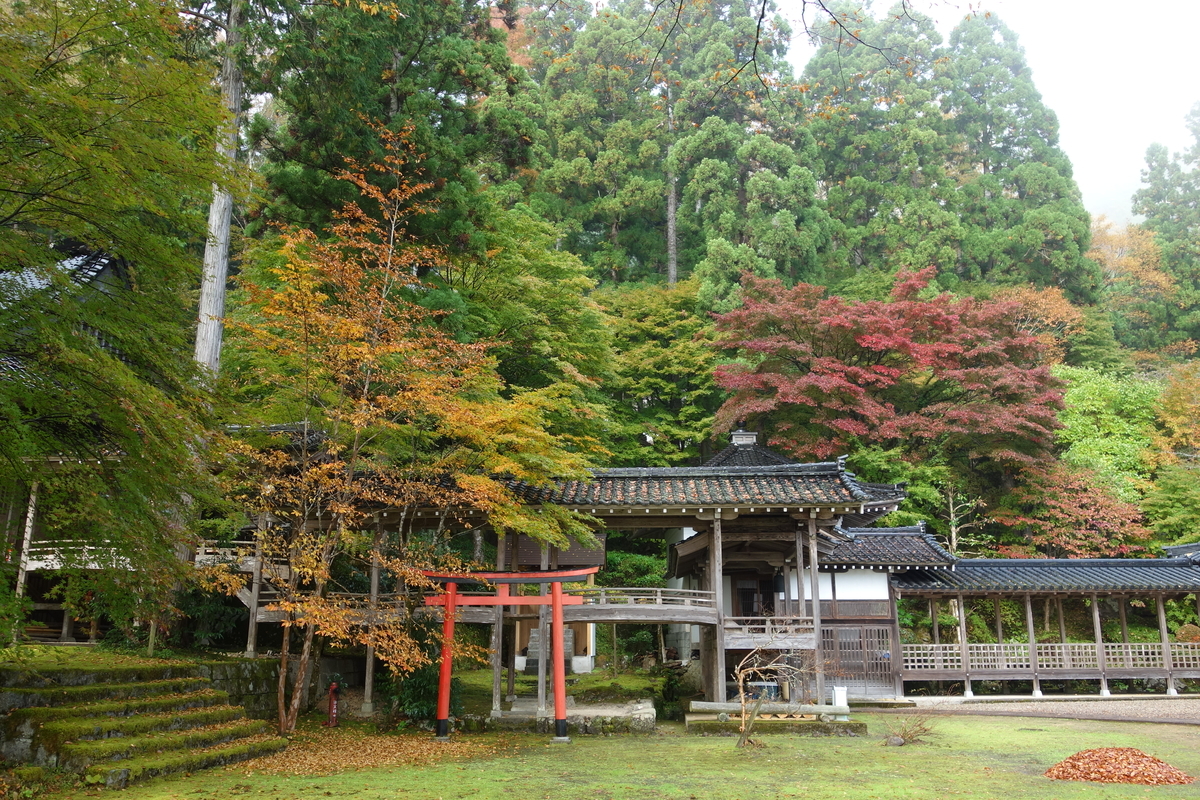 f:id:sogensyooku:20211120163918j:plain