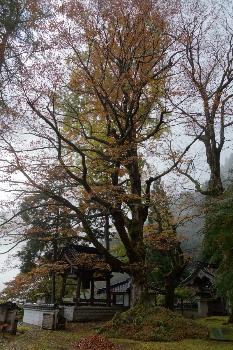 f:id:sogensyooku:20211120164244j:plain