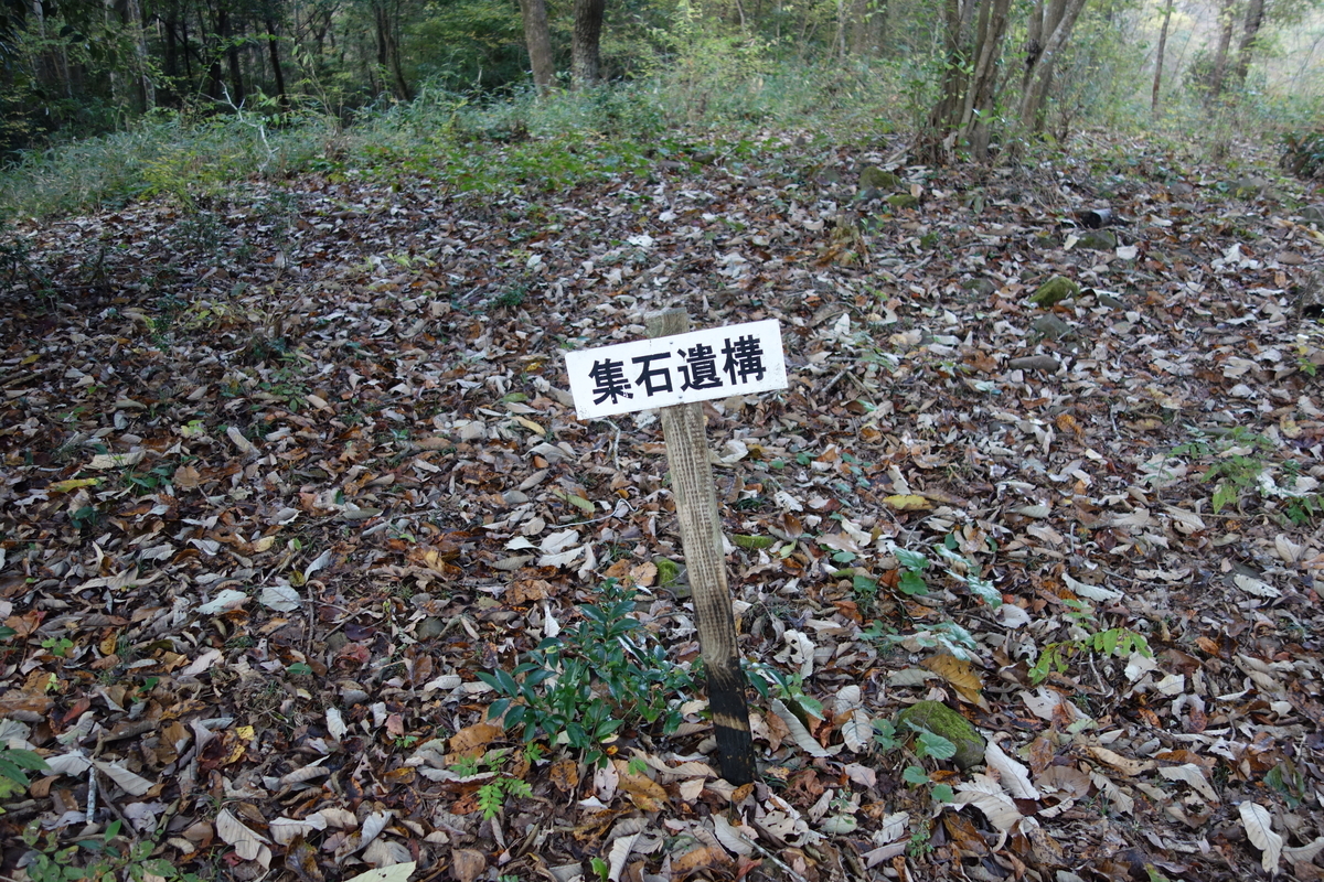 f:id:sogensyooku:20211214211051j:plain