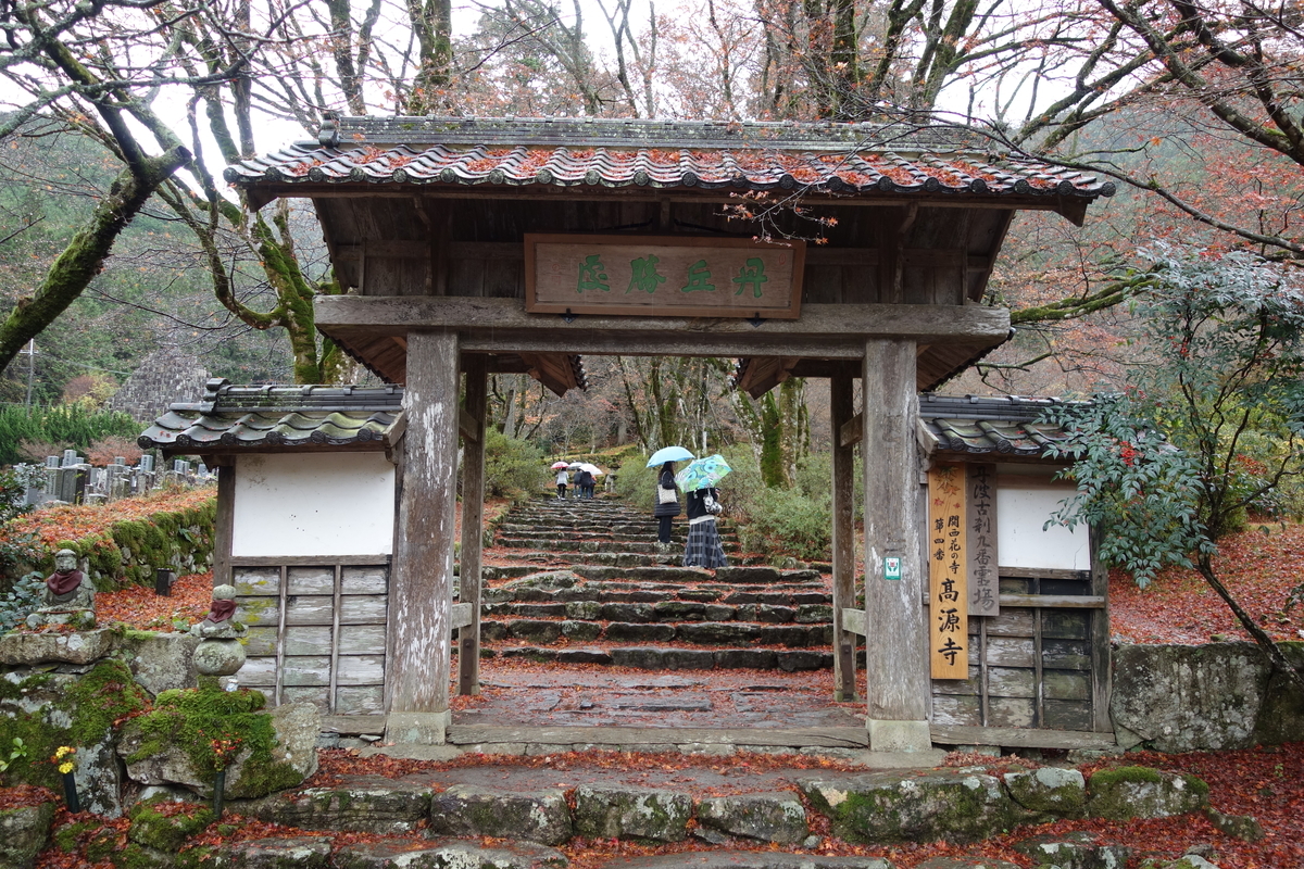 f:id:sogensyooku:20211222204838j:plain