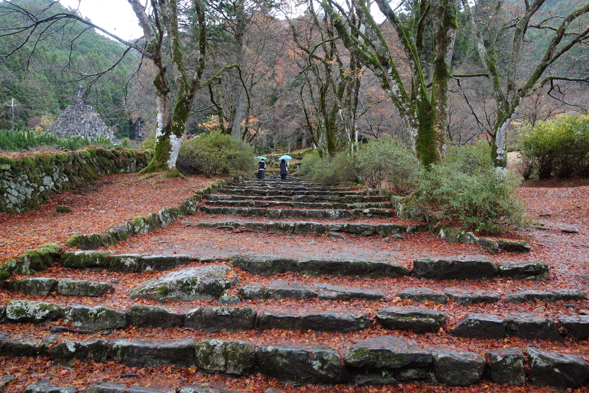 f:id:sogensyooku:20211222205755j:plain