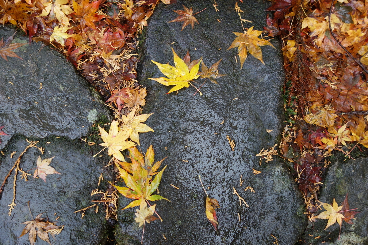 f:id:sogensyooku:20211222211112j:plain