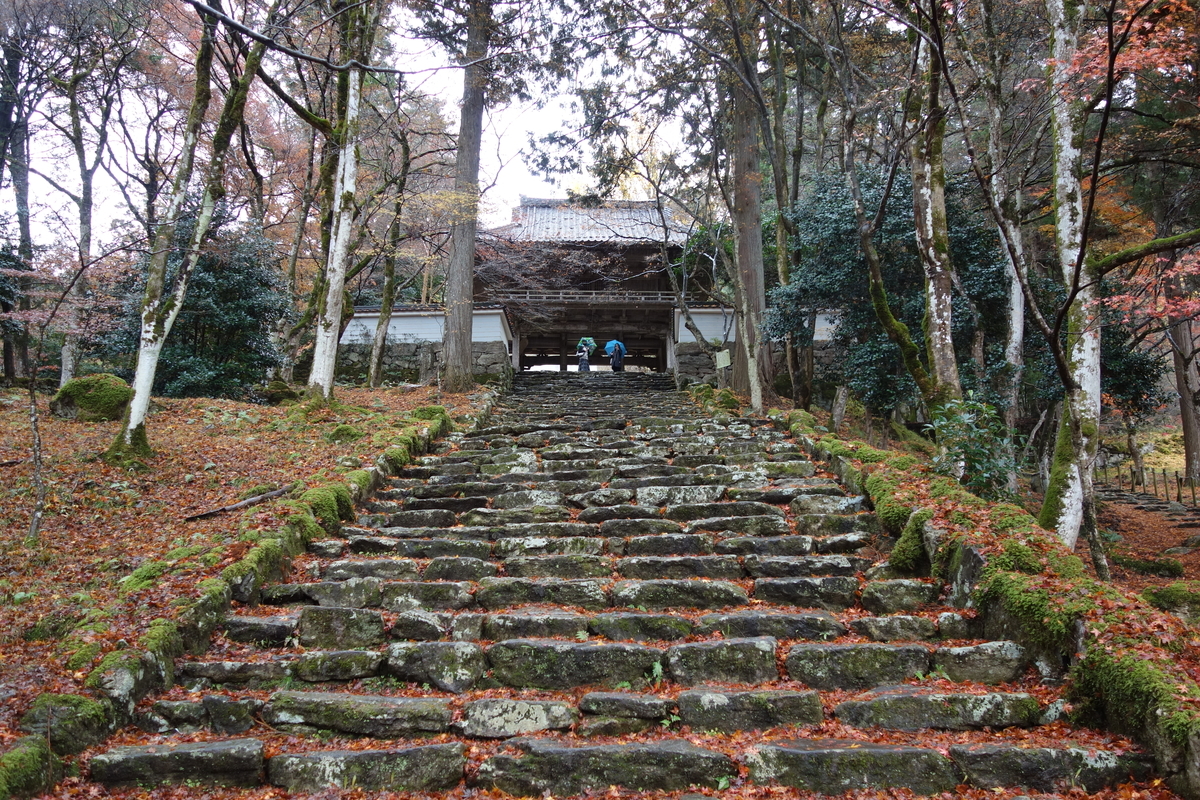 f:id:sogensyooku:20211222211758j:plain