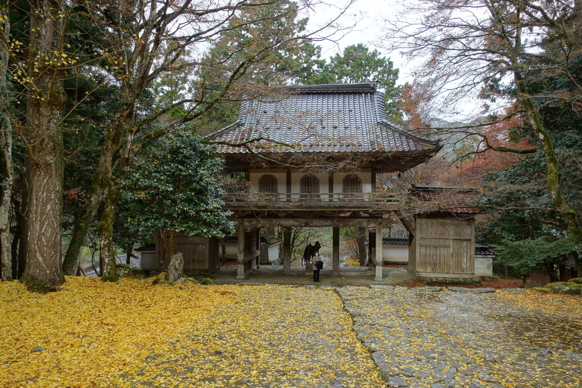 f:id:sogensyooku:20211222212552j:plain