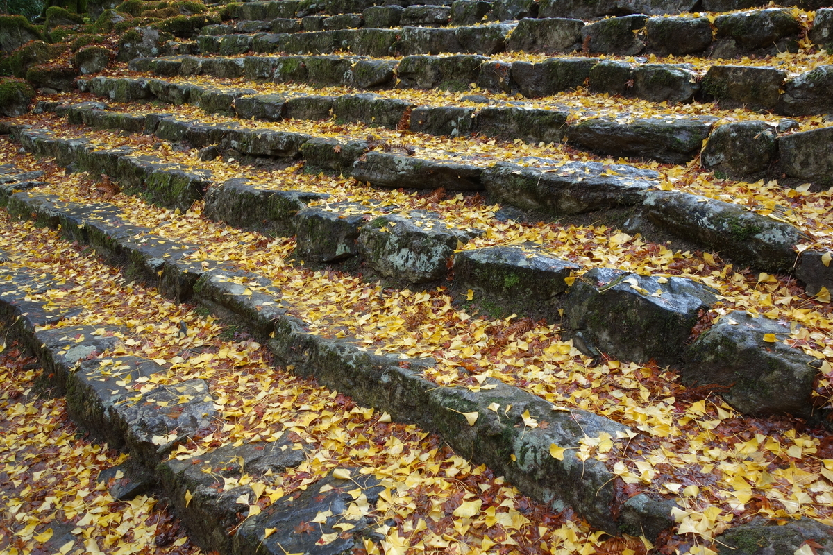 f:id:sogensyooku:20211222212920j:plain