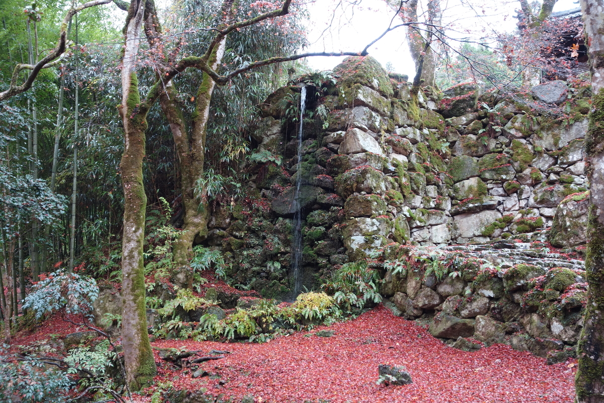 f:id:sogensyooku:20211222214457j:plain