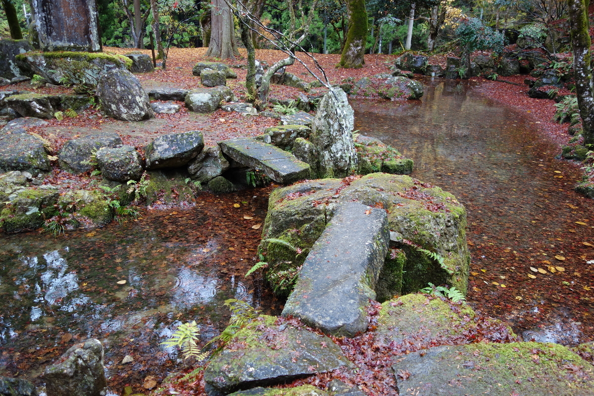 f:id:sogensyooku:20211222214556j:plain