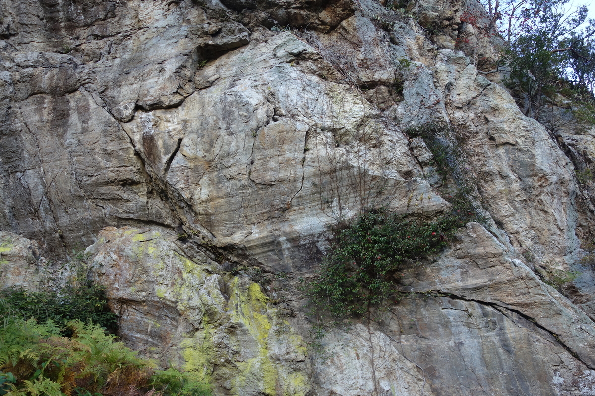 f:id:sogensyooku:20220111170819j:plain