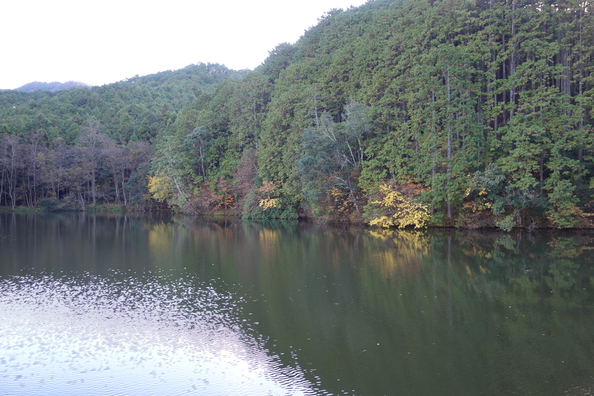 f:id:sogensyooku:20220111170936j:plain