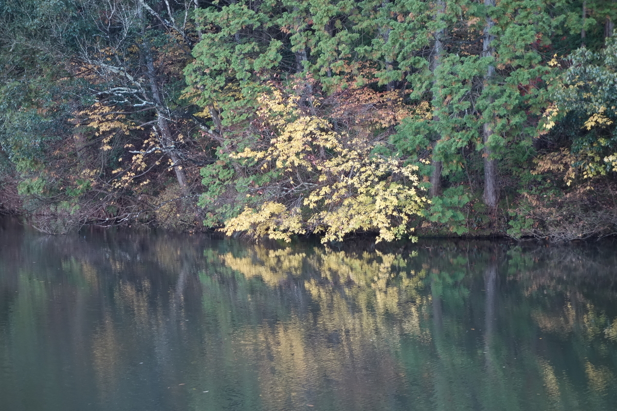 f:id:sogensyooku:20220111171014j:plain