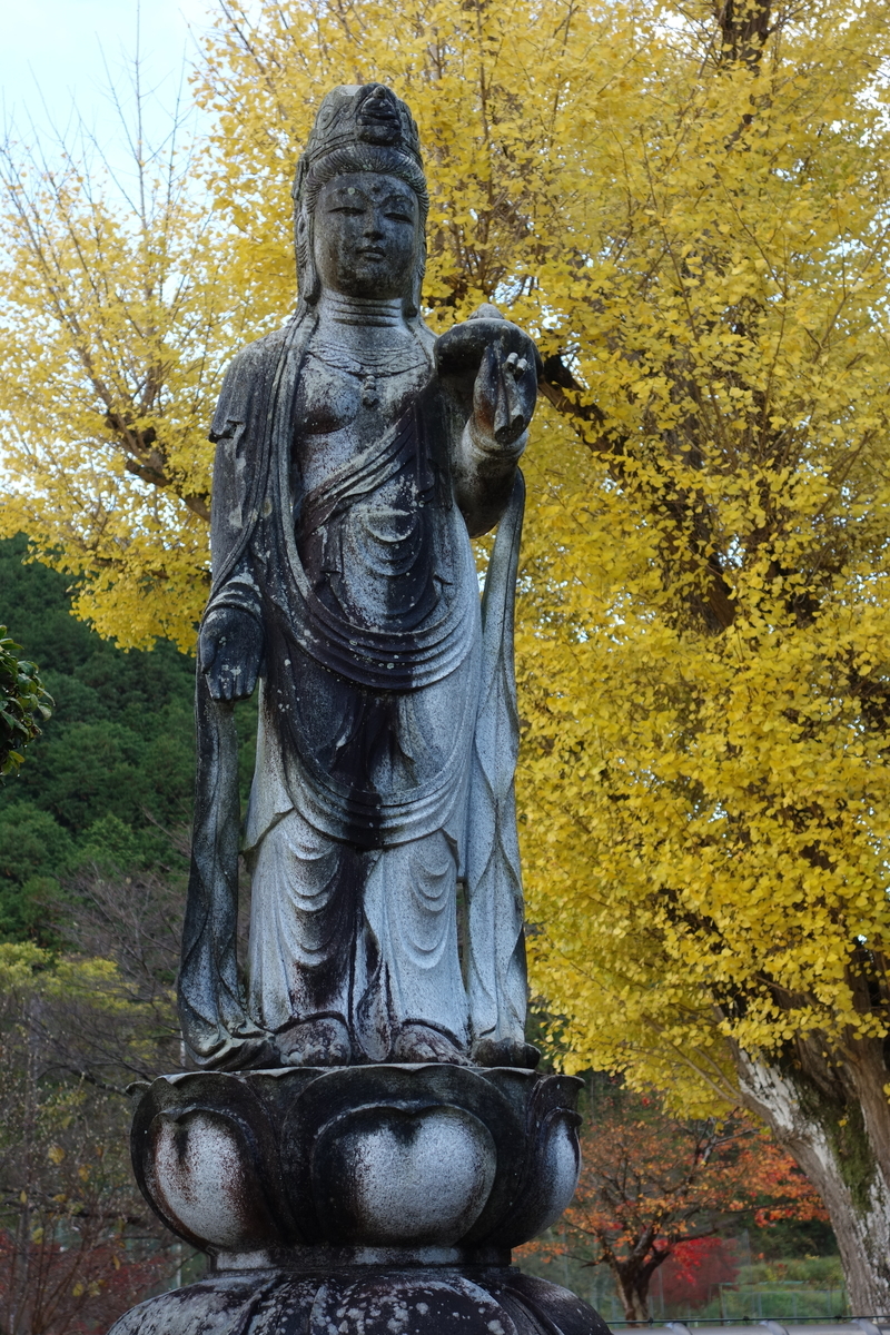 f:id:sogensyooku:20220111173200j:plain