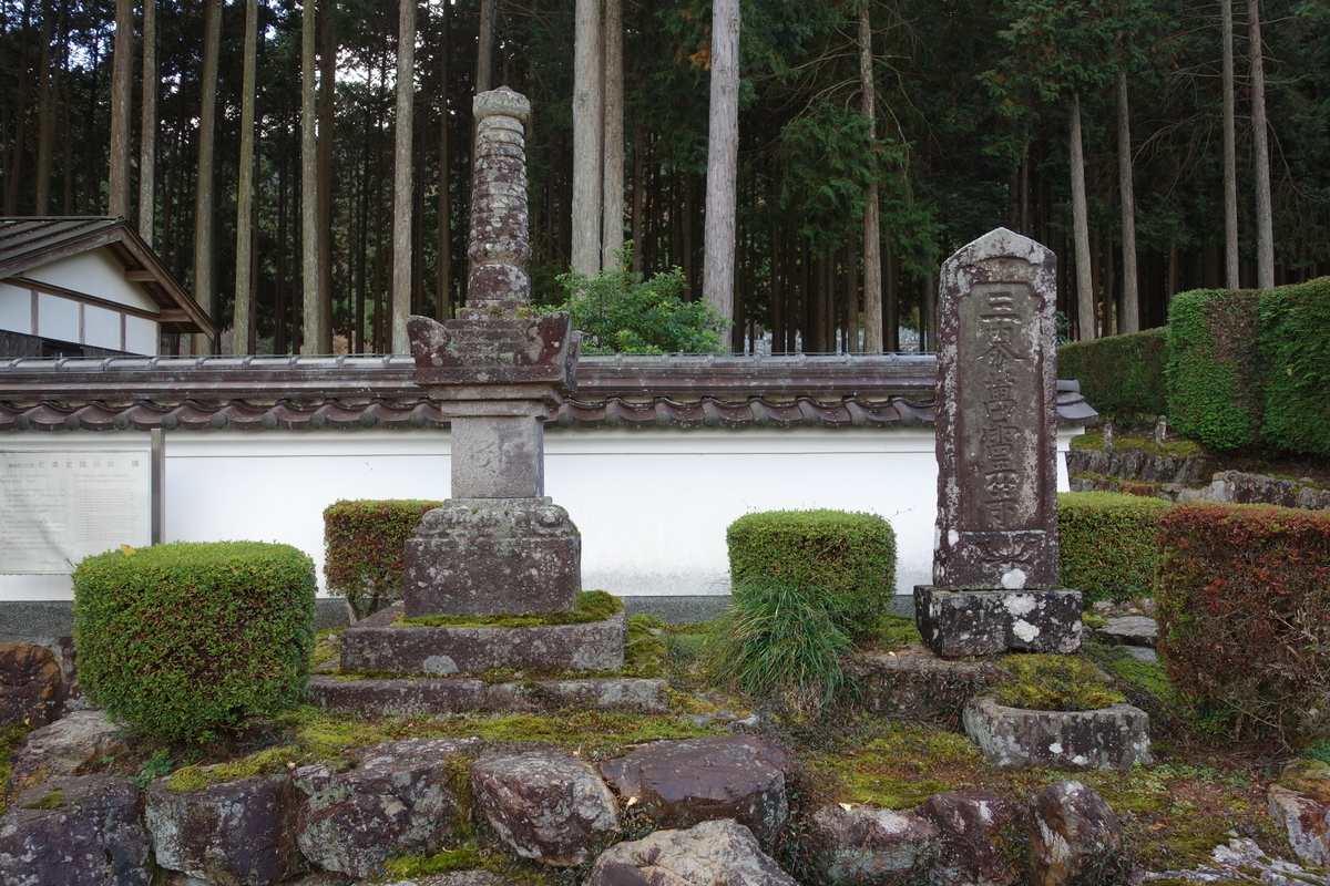 f:id:sogensyooku:20220111173613j:plain