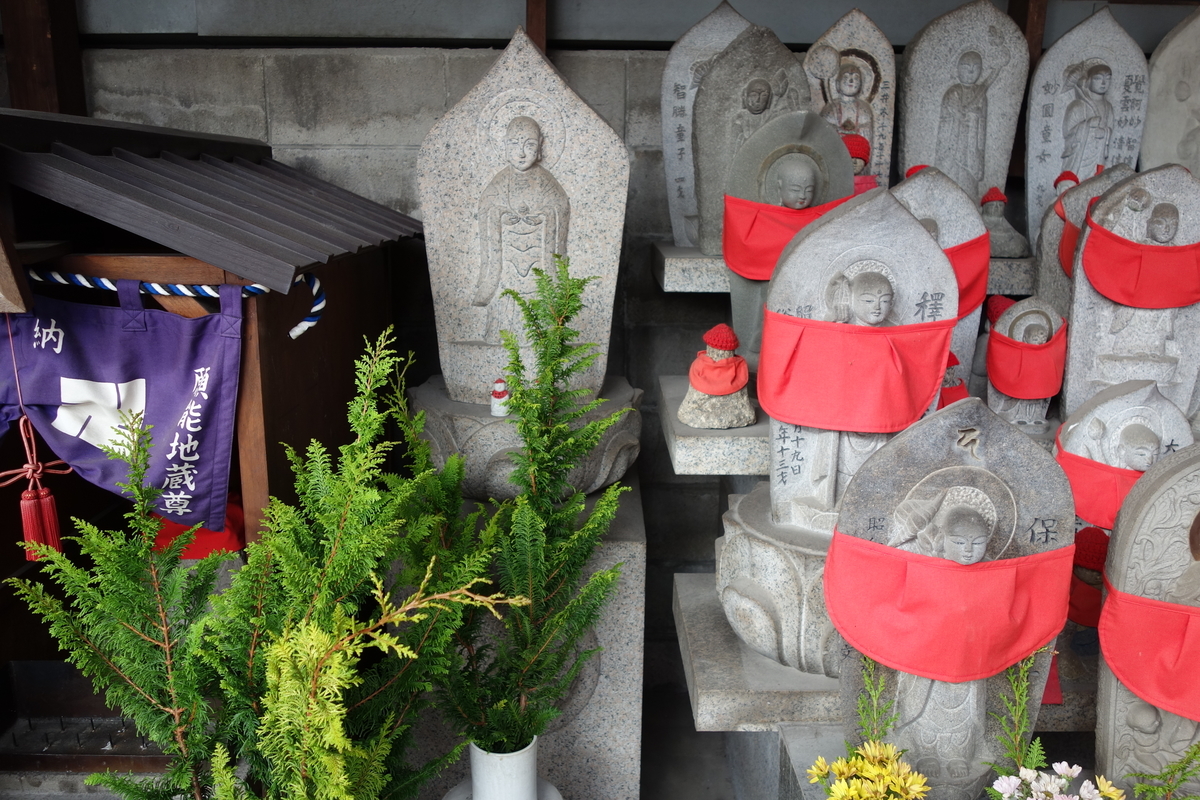 f:id:sogensyooku:20220115170823j:plain