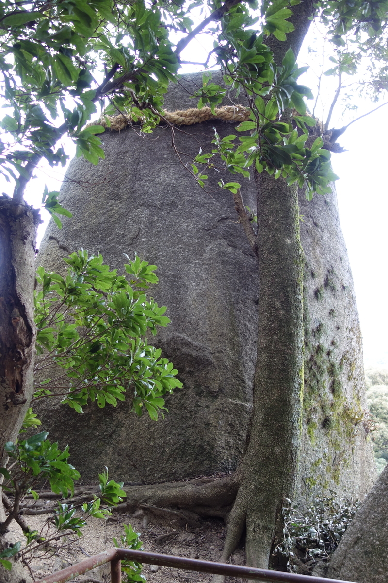 f:id:sogensyooku:20220227163447j:plain