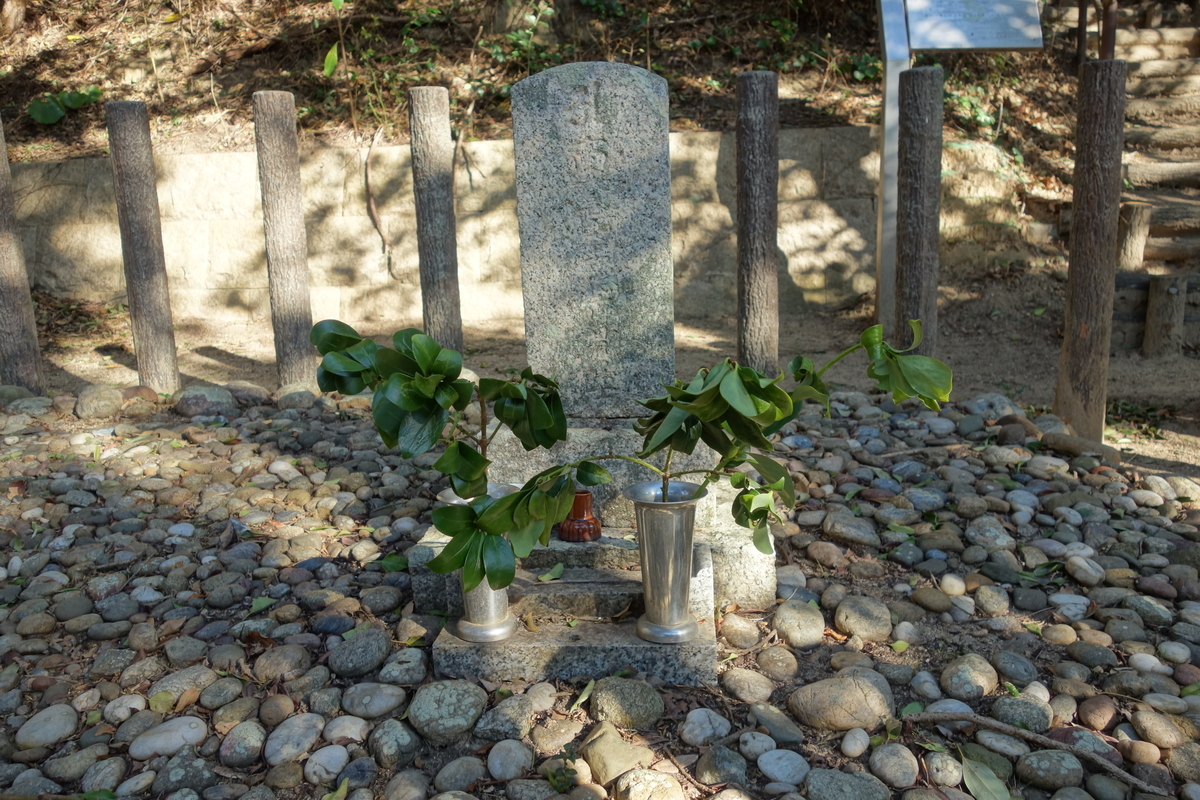 f:id:sogensyooku:20220308214746j:plain