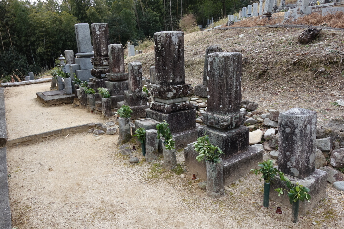 唐李憲墓発掘報告 唐李宪墓发掘报告- 图书- 豆瓣