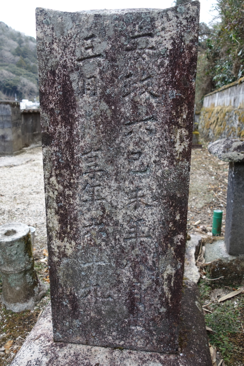 f:id:sogensyooku:20220312215216j:plain