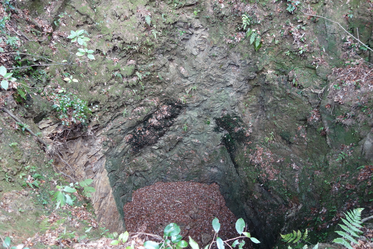 f:id:sogensyooku:20220321135621j:plain