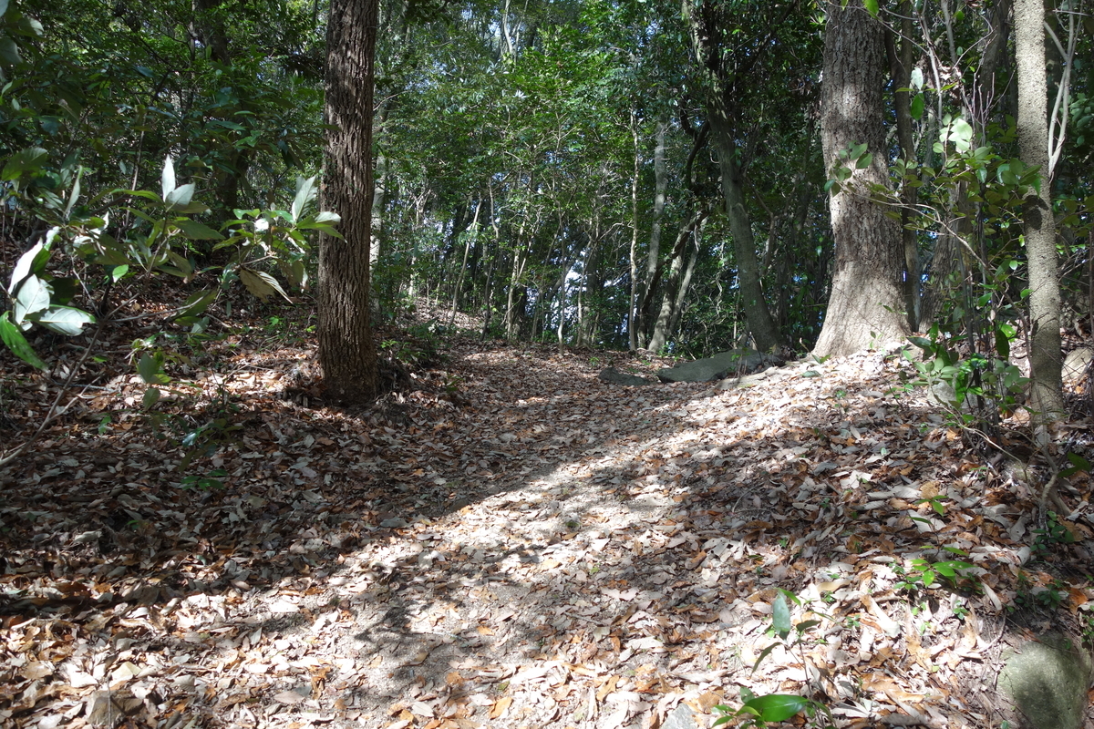 f:id:sogensyooku:20220321140042j:plain