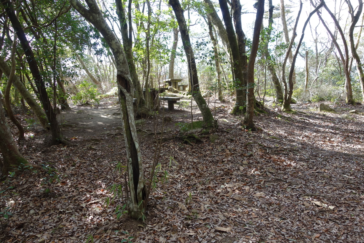 f:id:sogensyooku:20220321140900j:plain