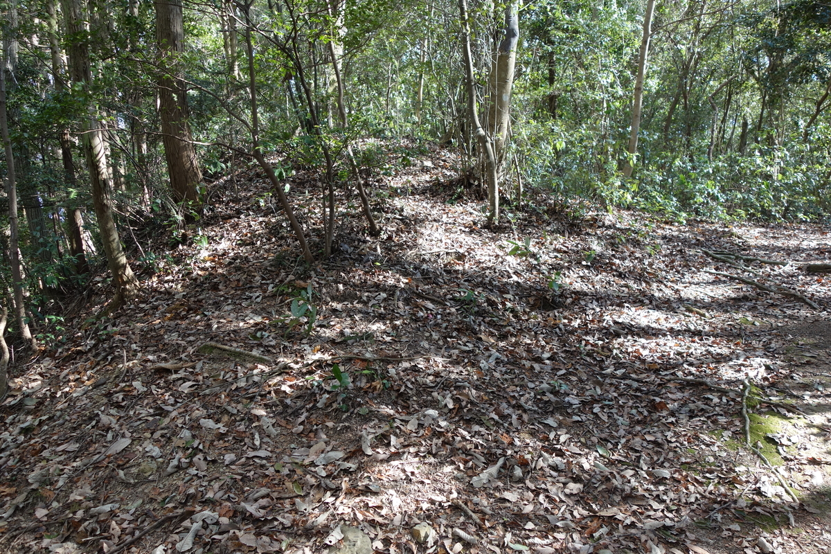 f:id:sogensyooku:20220321141046j:plain