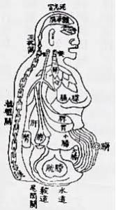 f:id:sohachiacupuncture:20181121103607j:plain