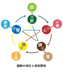 f:id:sohachiacupuncture:20181121103624j:plain
