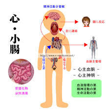 f:id:sohachiacupuncture:20181126093705j:plain