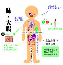 f:id:sohachiacupuncture:20181128093724j:plain