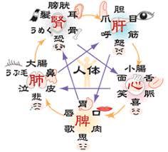 f:id:sohachiacupuncture:20181130154418j:plain
