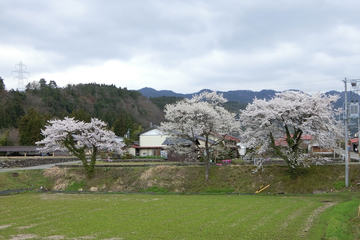 f:id:soharajishi:20220219161424j:plain