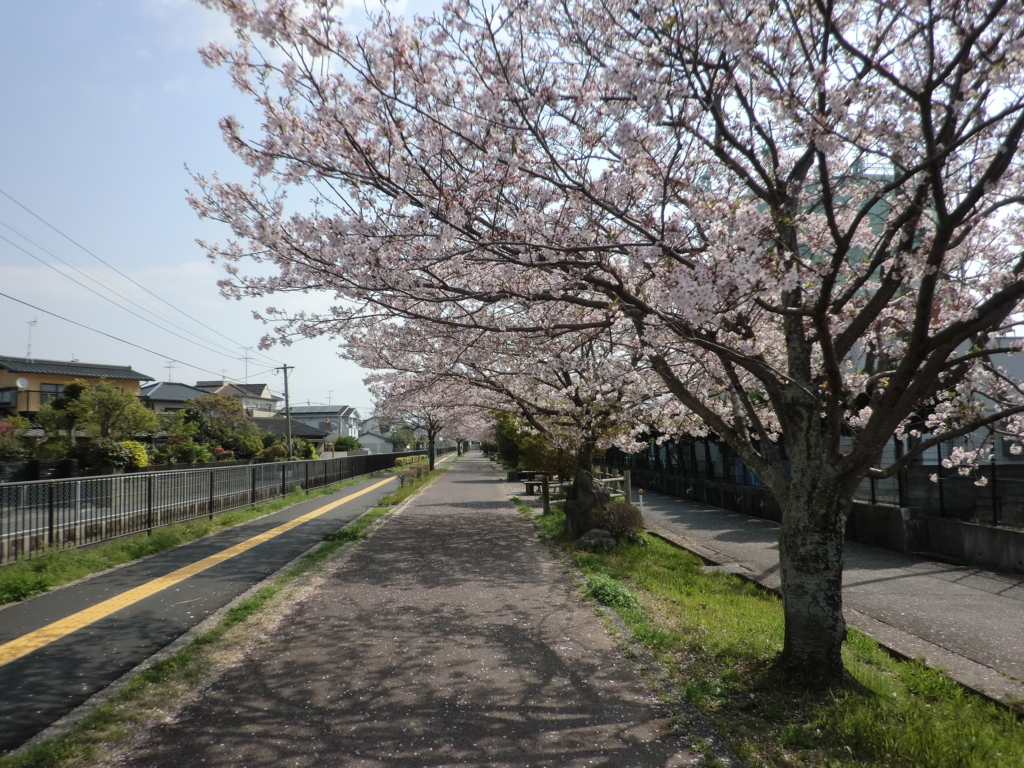 f:id:sohujojo:20180401091408j:plain