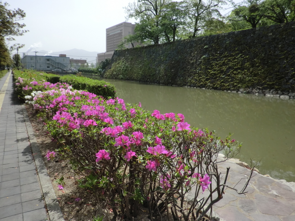 f:id:sohujojo:20180416093152j:plain