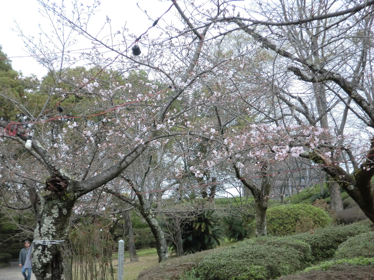 f:id:sohujojo:20190323091150j:plain f:id:sohujojo:20190323091150j:plain