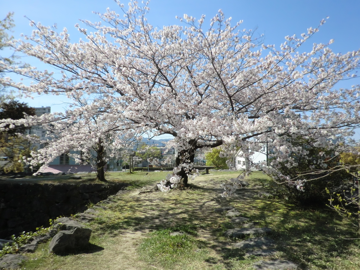 f:id:sohujojo:20190404090752j:plain