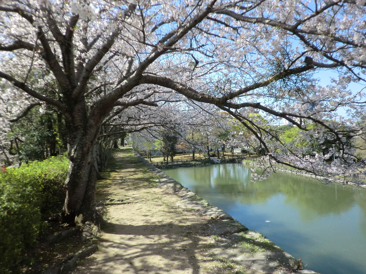 f:id:sohujojo:20190404091318j:plain