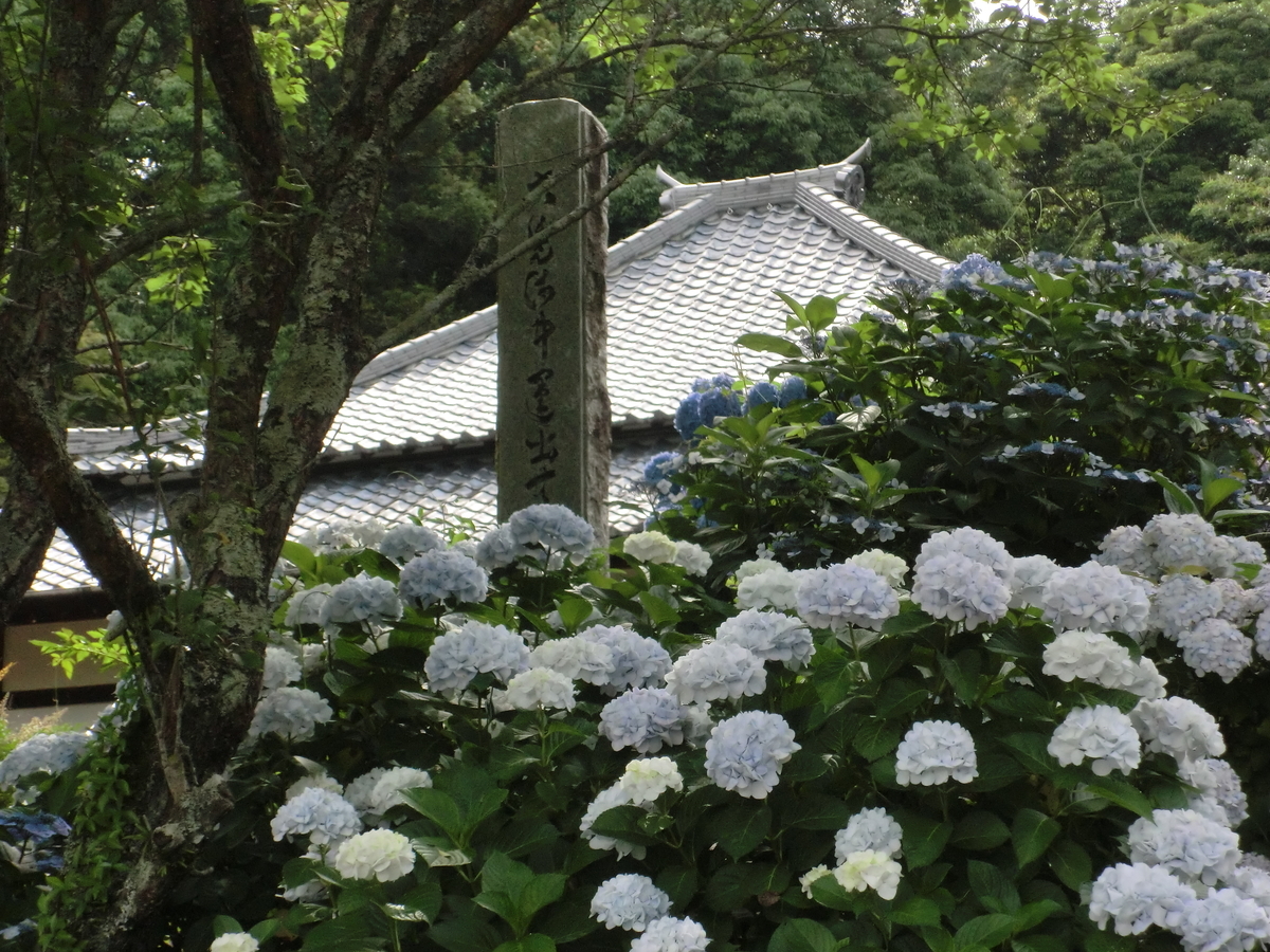 f:id:sohujojo:20210607084022j:plain