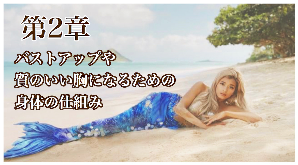f:id:soilmomo:20200519193958p:image f:id:soilmomo:20200519193958p:image