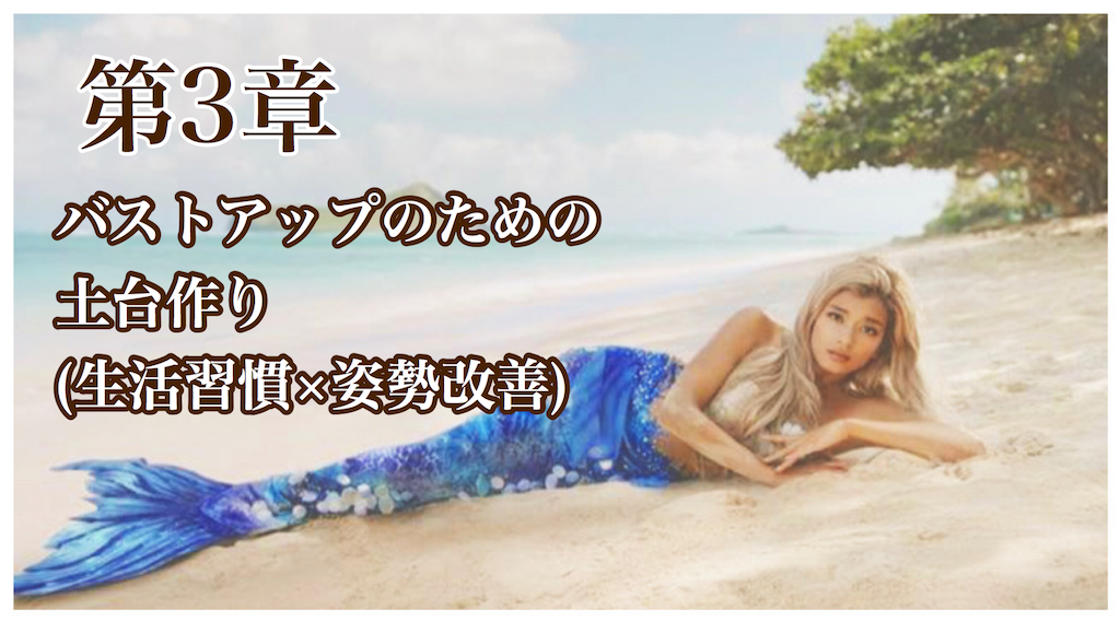 f:id:soilmomo:20200519194010p:image f:id:soilmomo:20200519194010p:image