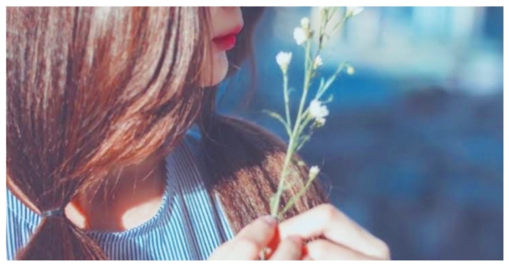 f:id:soilmomo:20200519201500j:image f:id:soilmomo:20200519201500j:image