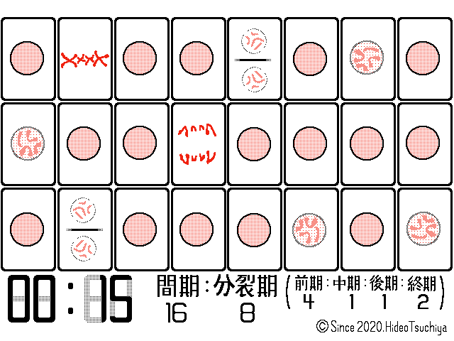 6 細胞周期の計算 Soilｰshop生物教材製作所 自習室
