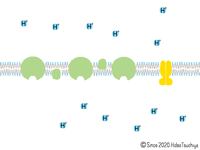 f:id:soilshop:20200517132329g:plain f:id:soilshop:20200517132329g:plain