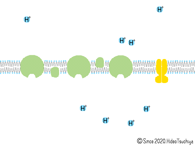 f:id:soilshop:20200517132513g:plain