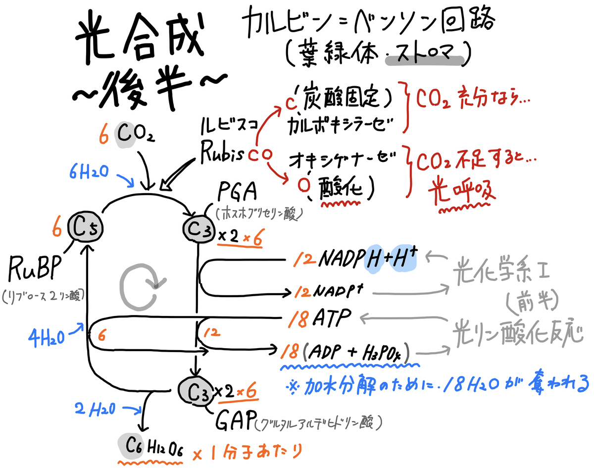 f:id:soilshop:20200531104509j:plain